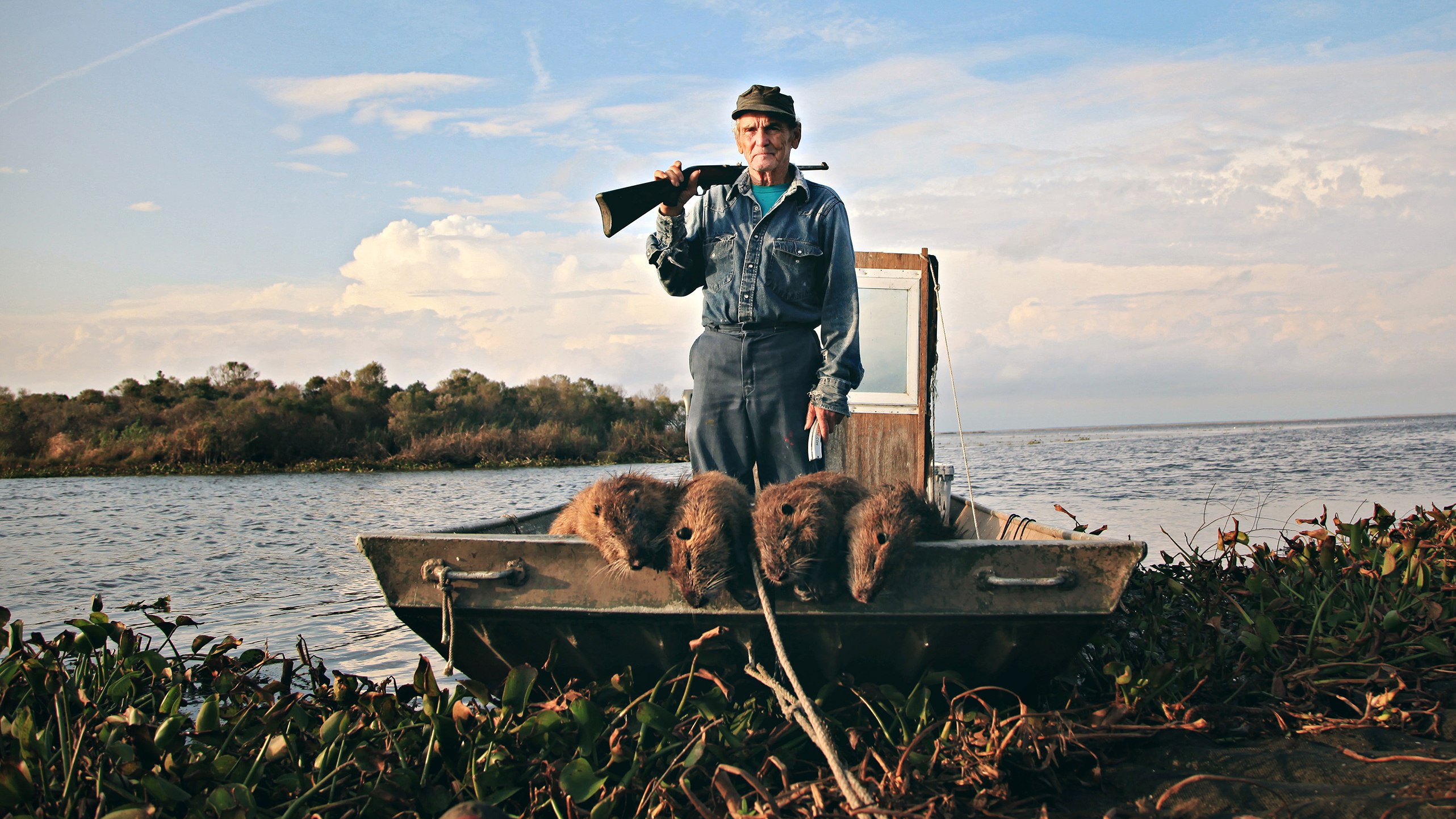 nutria, gulf coast