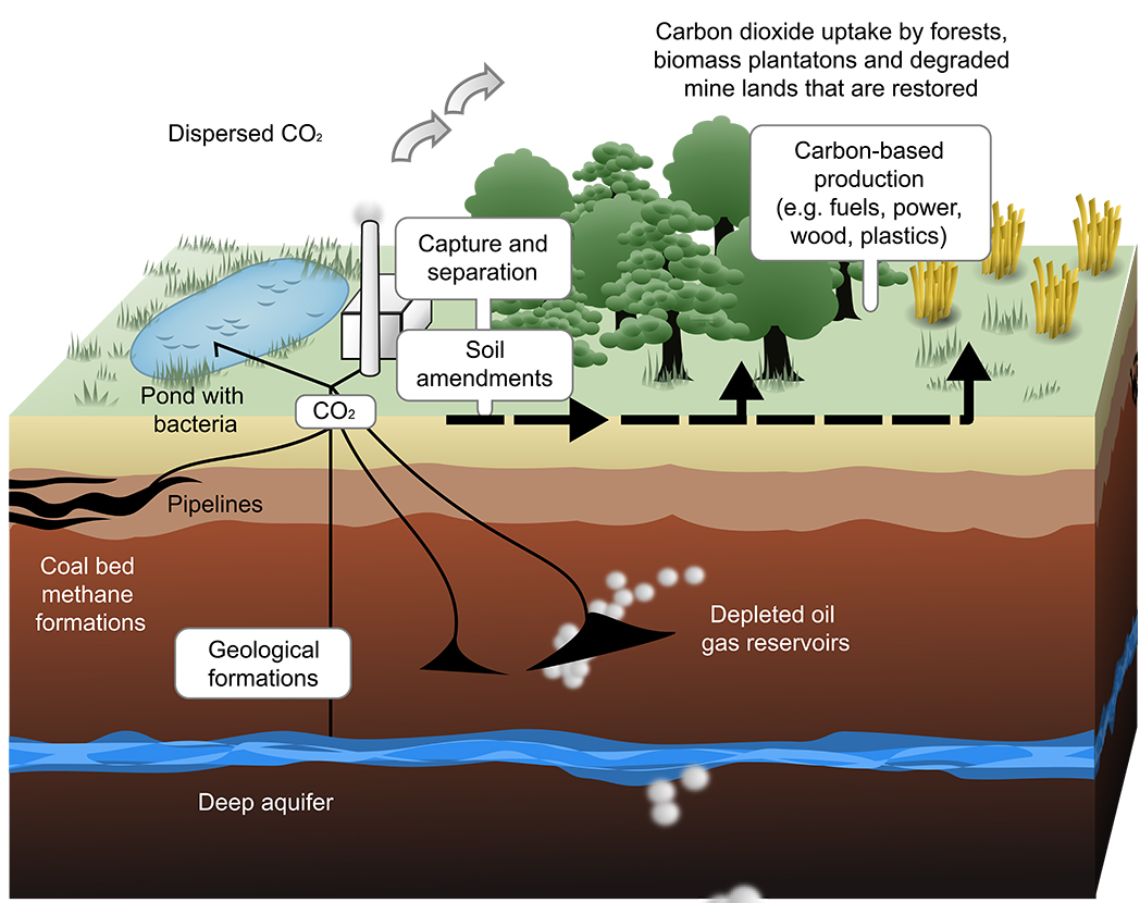 carbon sequestration