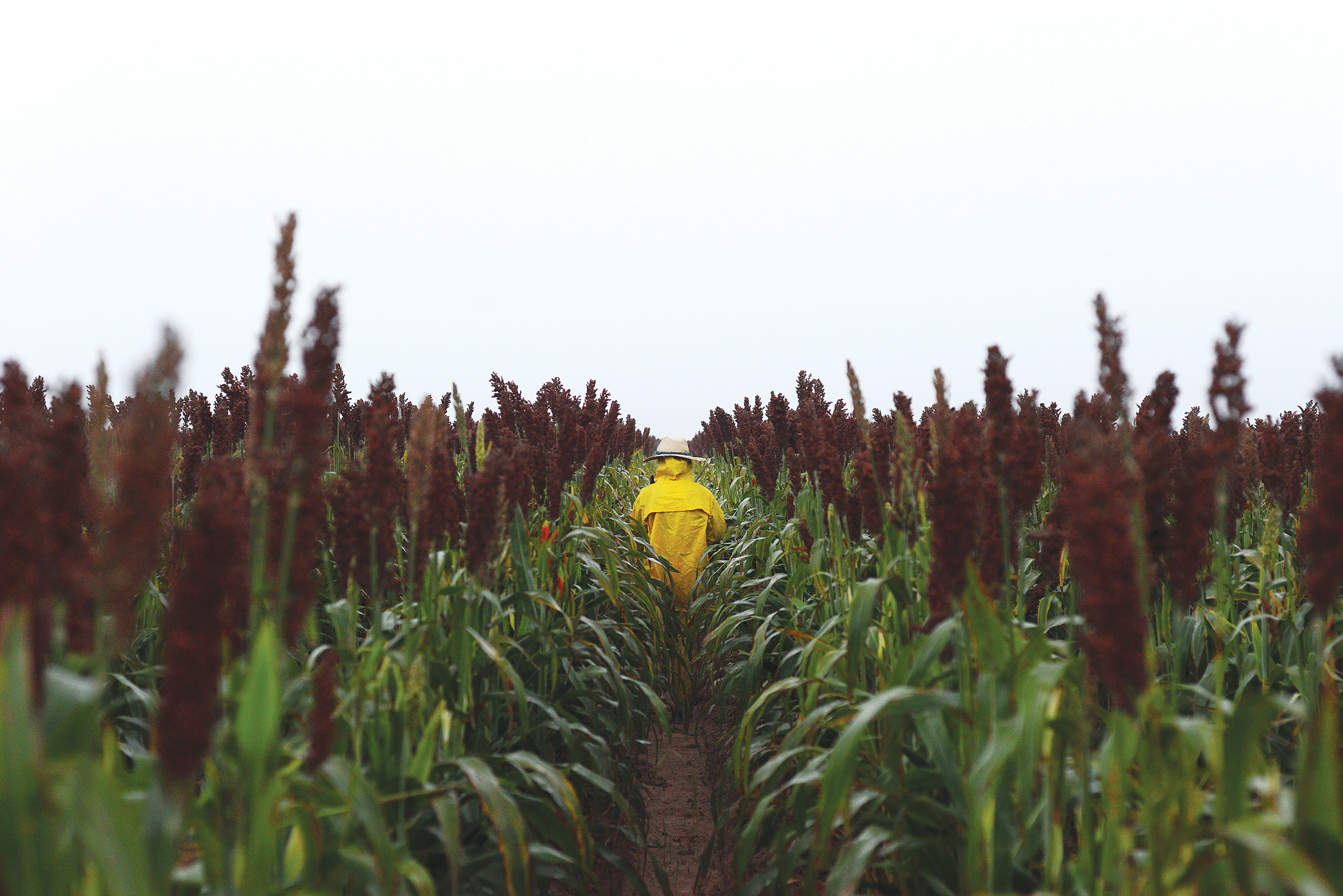 A farmworker in Plainview.