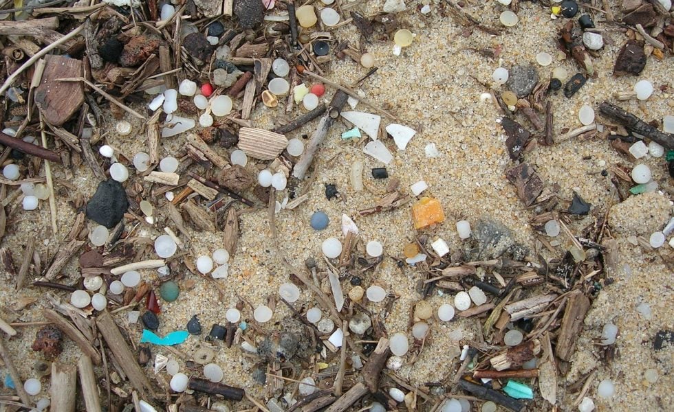 Nurdles — small, white BB-sized pellets — are a raw material used for manufacturing plastics, and they can poison fish and other wildlife that ingest them.