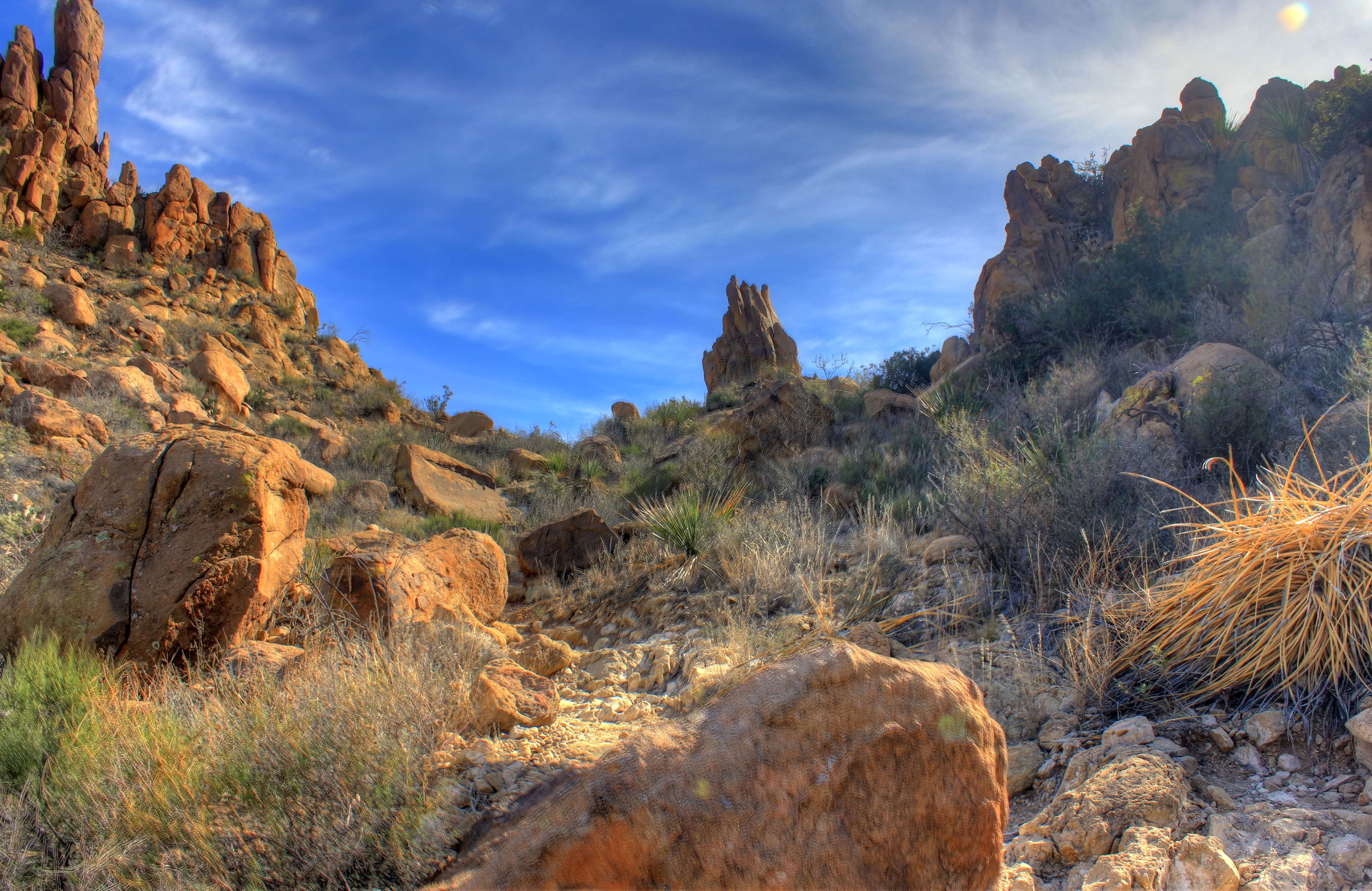 Big Bend National Park