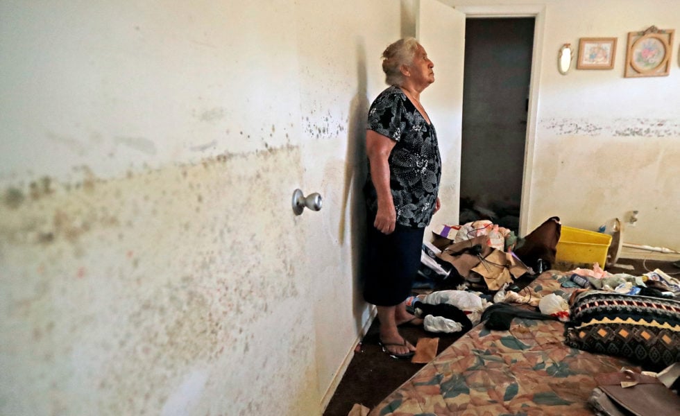 Flood victim Florentina Amaya, 71, looks at the mold growing inside her Houston home in the aftermath of Hurricane Harvey in 2017.