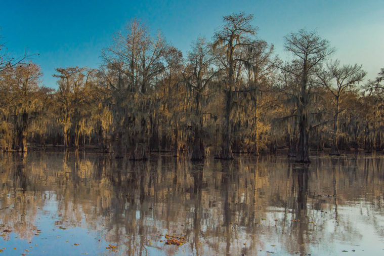 Caddo Lake, Texas