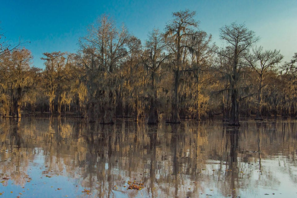 Caddo Lake, Texas