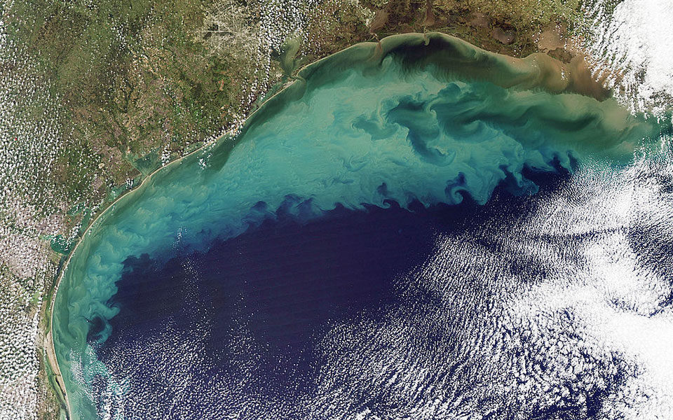 Sediments in the Gulf of Mexico that can cause algae blooms.