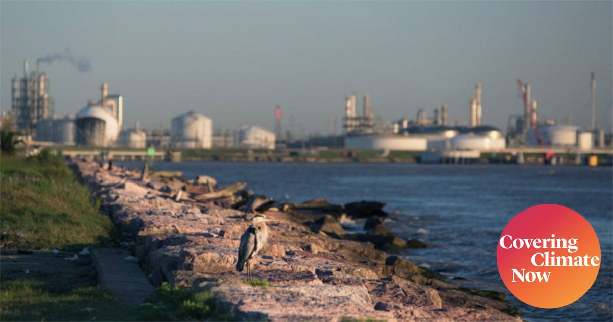 How BP Oil Spill Fines Could Help Protect the Texas Coast The Texas