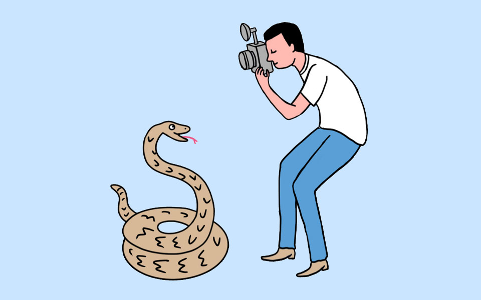 A man takes a picture of a large snake.
