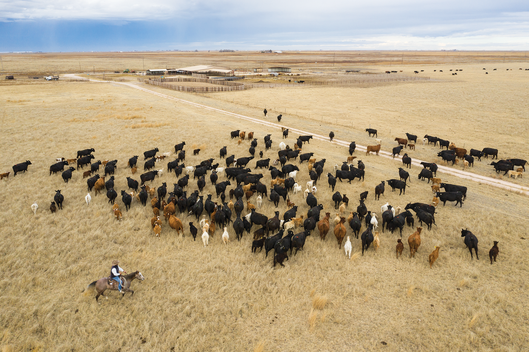 Mike Mimms herds 200 cattle on his ranch near Hereford; the proposed feedlot would border his property.