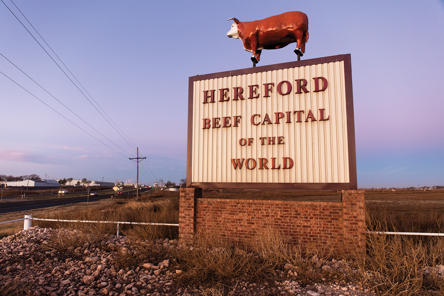 Hereford is the seat of Deaf Smith County, where cattle outnumber people 40 to 1.