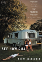 See How Small by Scott Blackwood Little, Brown Fiction; 240 pages 2015