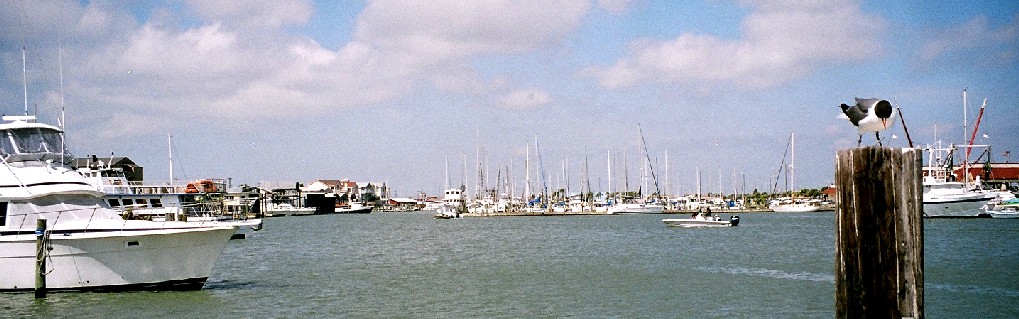 The marina in Port Aransas.