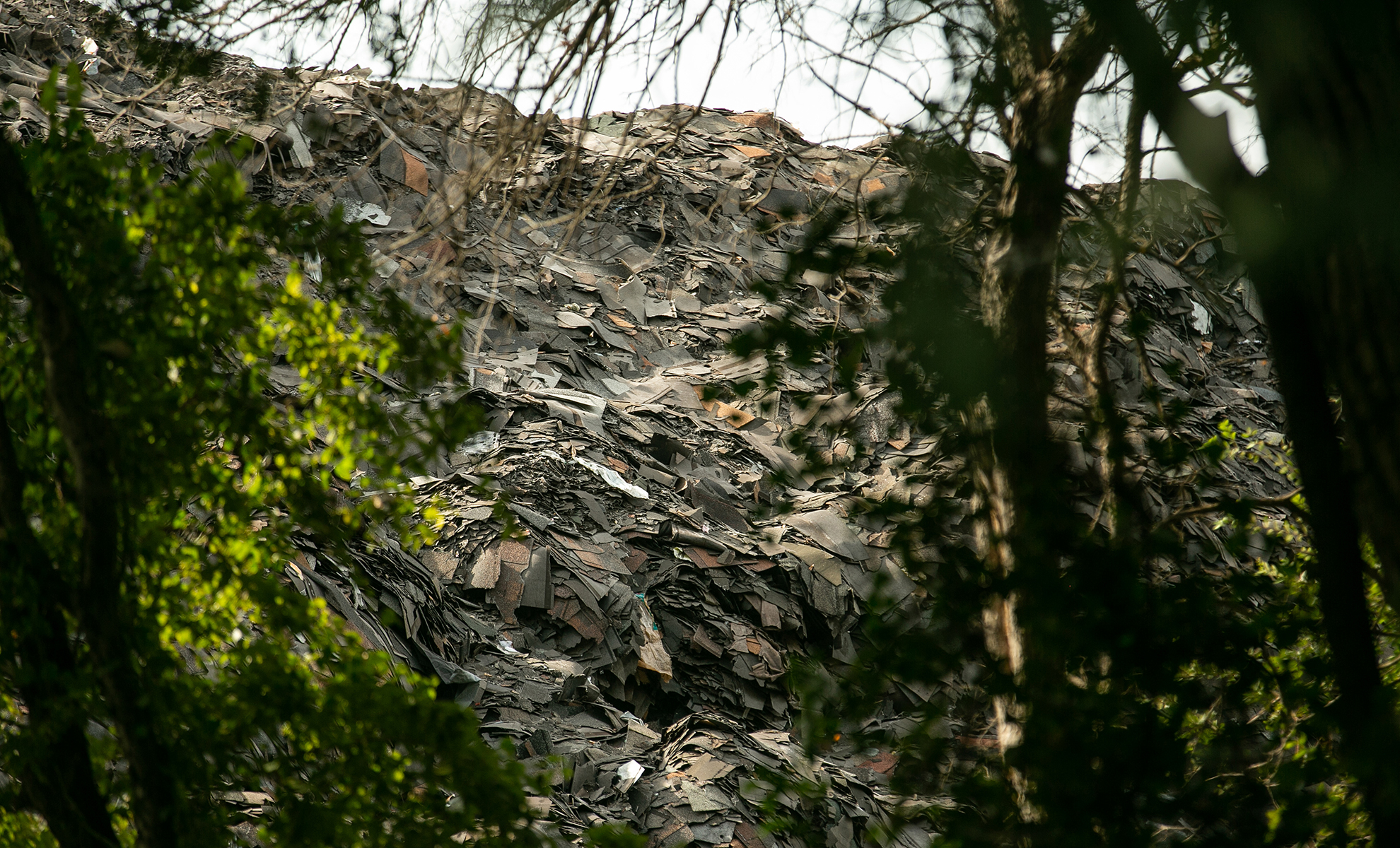 For years, Marsha Jackson has lived next door to Shingle Mountain, an illegal dump consisting of hundreds of tons of roof shingles.