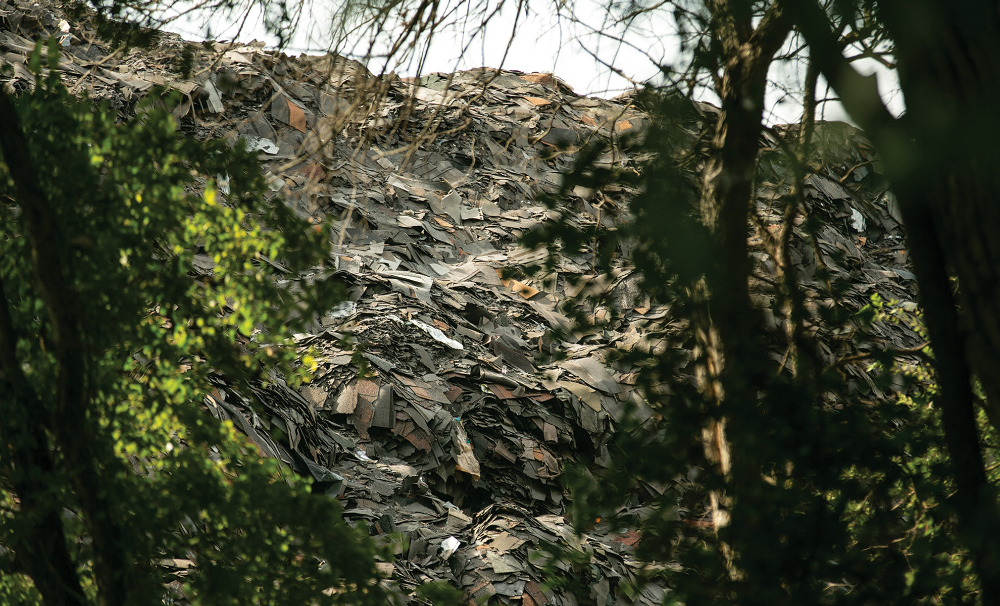 For years, Marsha Jackson has lived next door to Shingle Mountain, an illegal dump consisting of hundreds of tons of roof shingles.