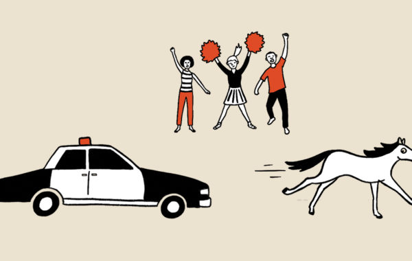 A wild horse led police on an hourslong chase through North Lubbock on July 11.