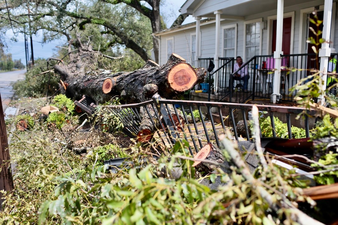 Hurricane Laura pushed power lines onto cars and uprooted trees in Orange.