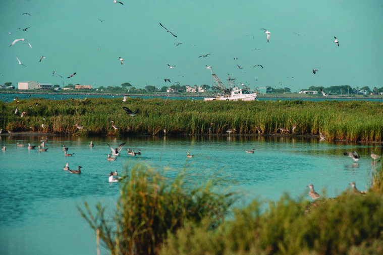 Despite warnings of mercury contamination, many people still fish in Lavaca Bay. A ban on fishing near the Superfund site is unenforced by Texas Parks and Wildlife.