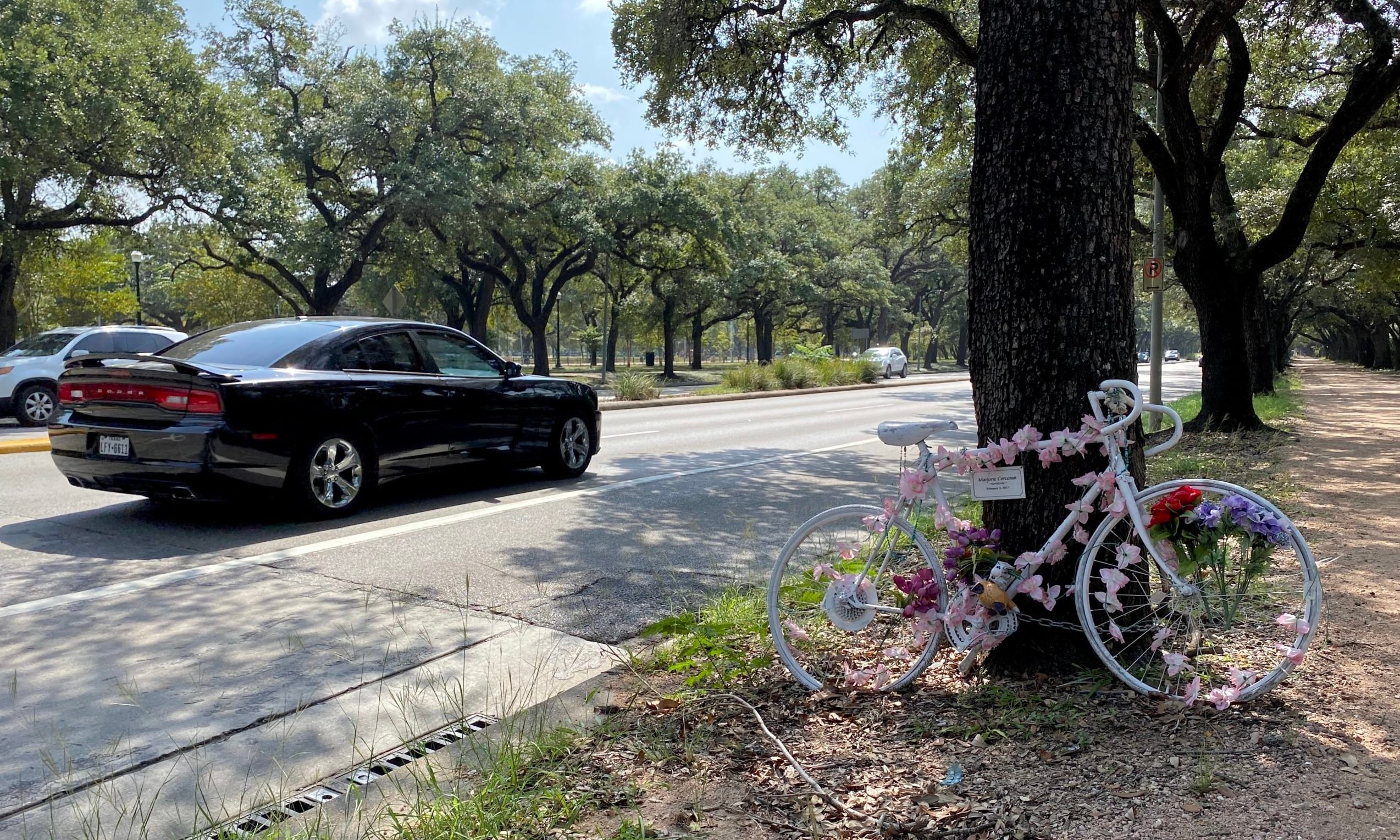 The ghost bike memorial to Marjorie Corcoran and Sudipta Roy.