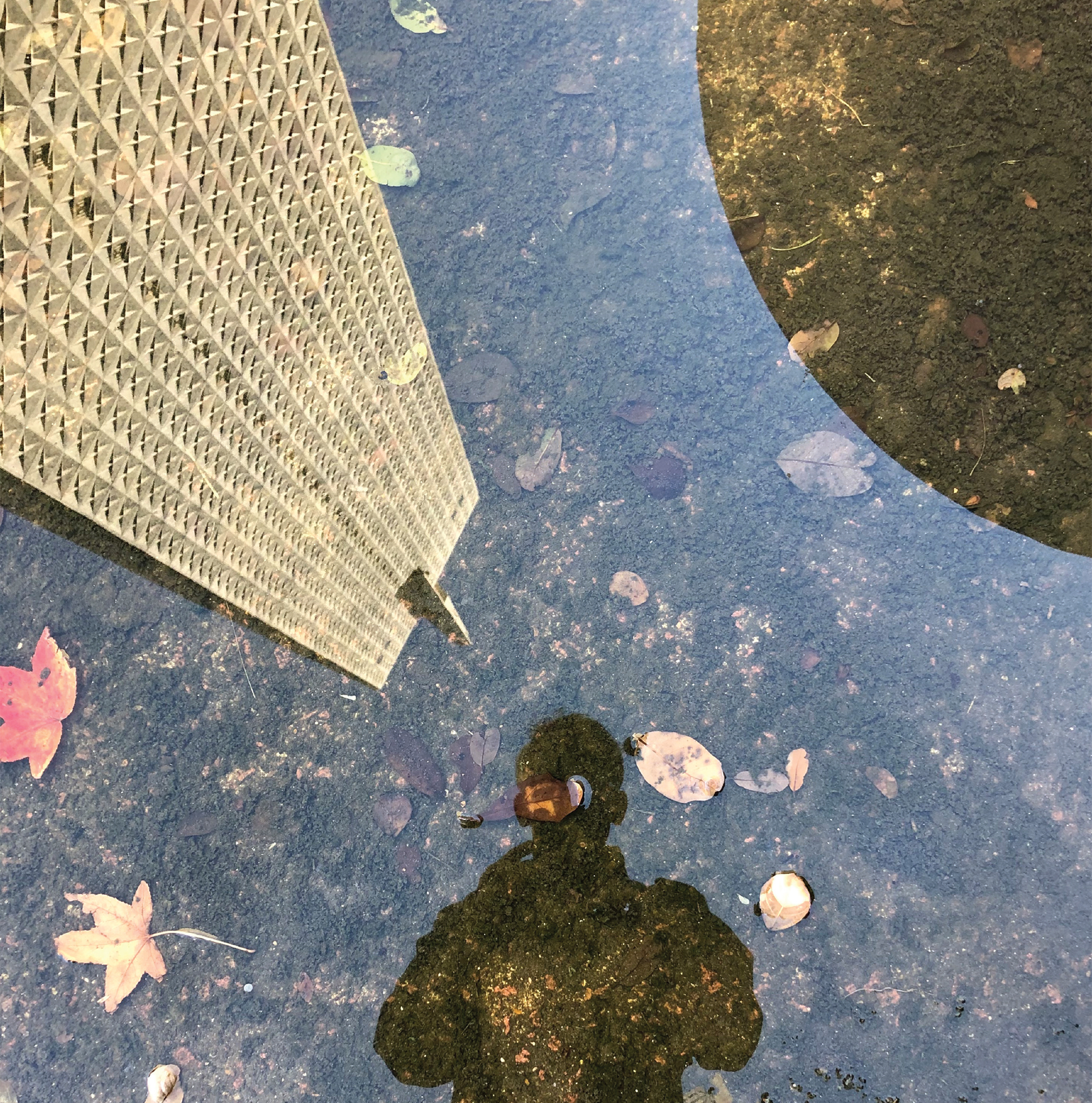Zac Crain's reflection in a puddle in downtown Dallas.