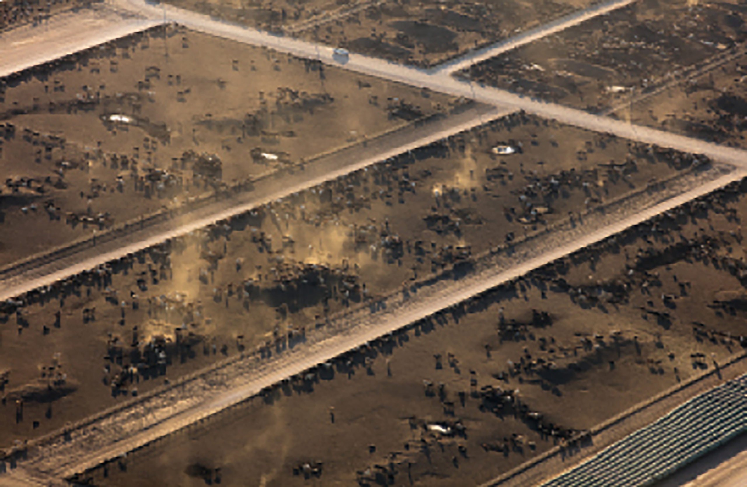 In the Texas Panhandle, which produces a fifth of the U.S. beef supply, communities are being choked by fecal dust from nearby feedlots. The state’s regulatory agency isn’t doing anything about it—and it’s about to get a whole lot worse.