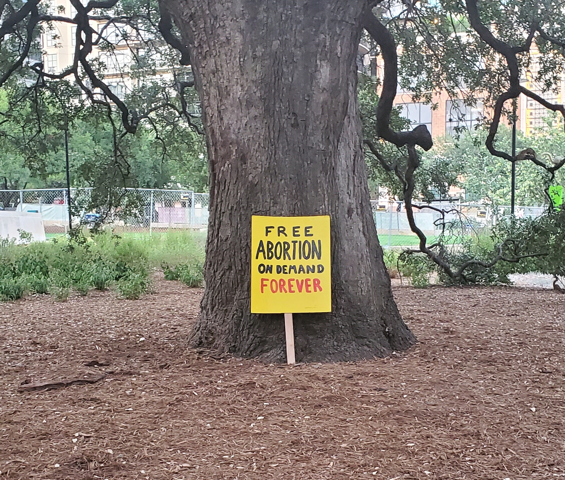A sign leaning on the Auction Oak in Republic Square reads "Free Abortion On Demand Forever."