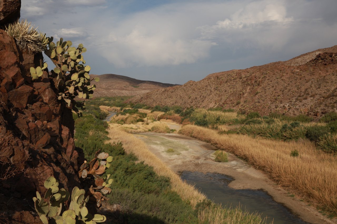 Stagnant pools that were once part of the RIo Grande stand among sparse desert greenery and succulents clinging to a rock face.