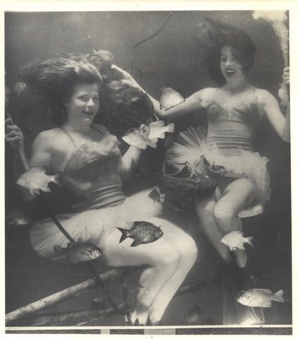 In a black and white photograph, a pair of women in mermaid costumes perform underwater as fish swim about them.