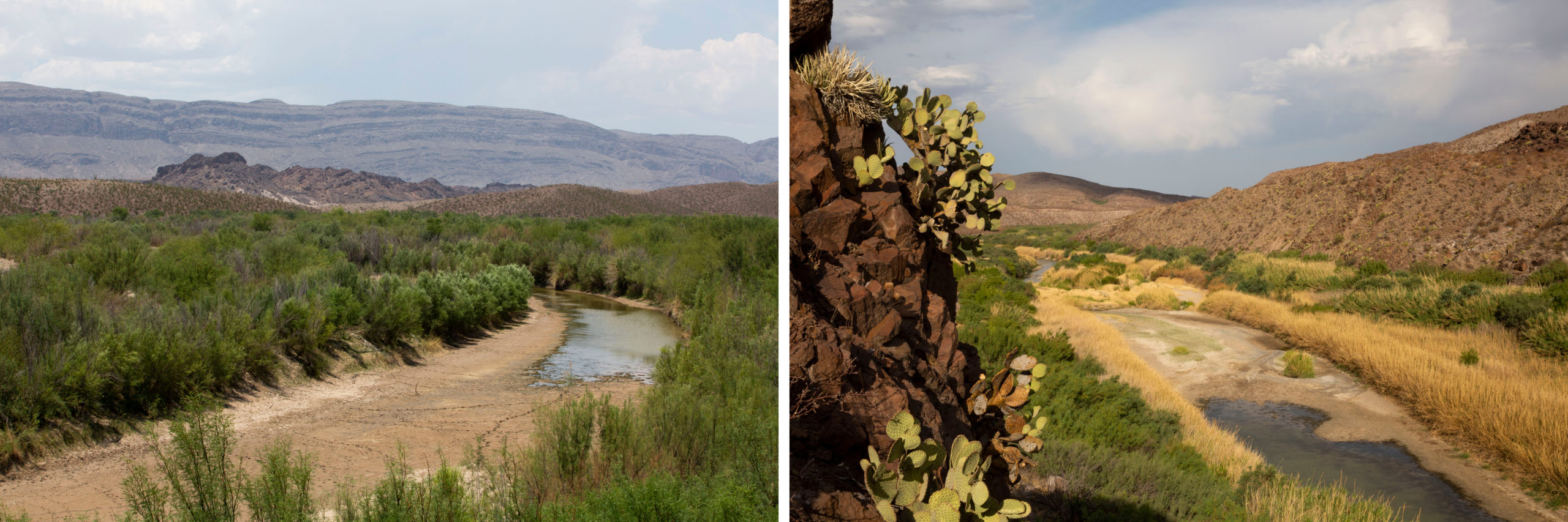 A composite image showing two photos of the drying Rio Grande river bed, surrounded by scrubby plants and yellowing wild grasses.