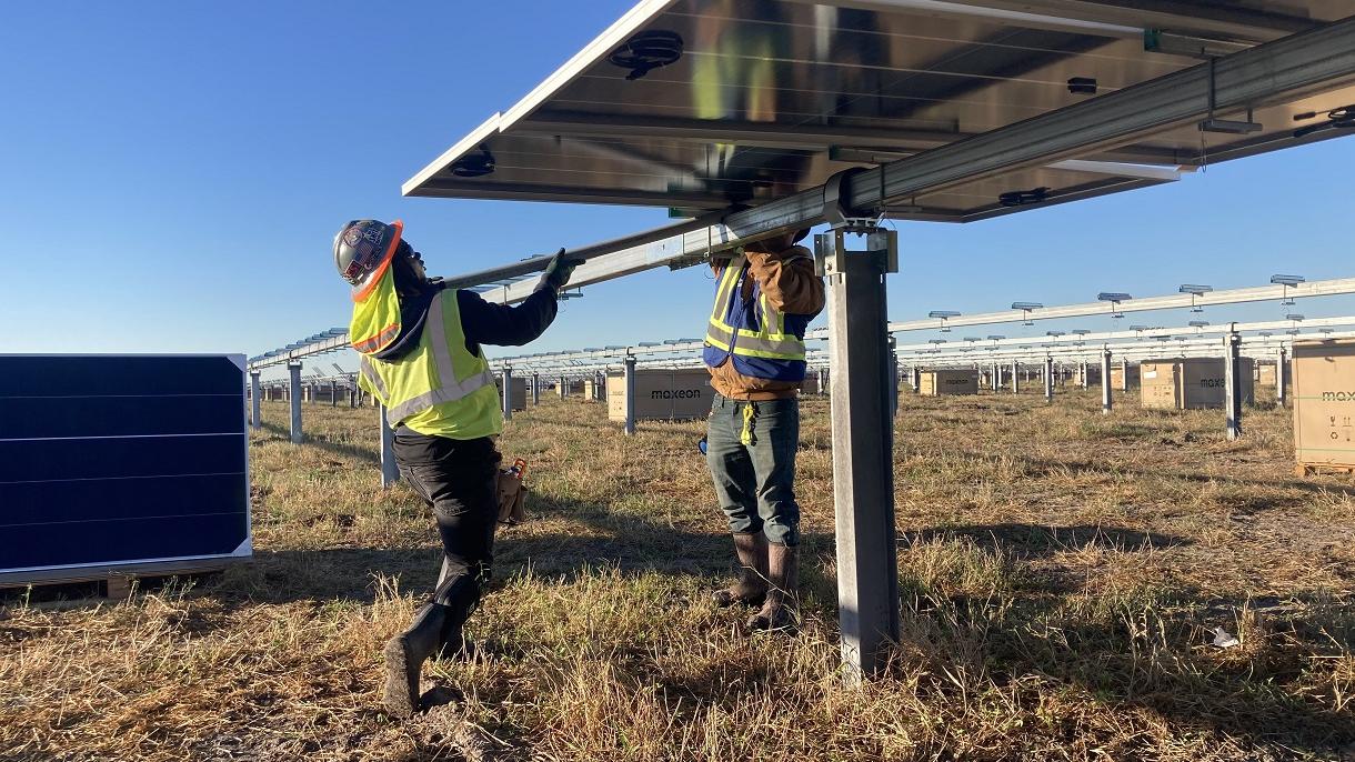 Workers “throw glass,” mounting photovoltaic panels on racking systems.