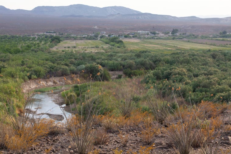 A green valley ringed by mountains. In the forground is a glimpse of a waterway among dense scrub while in the background we see green open farmland.