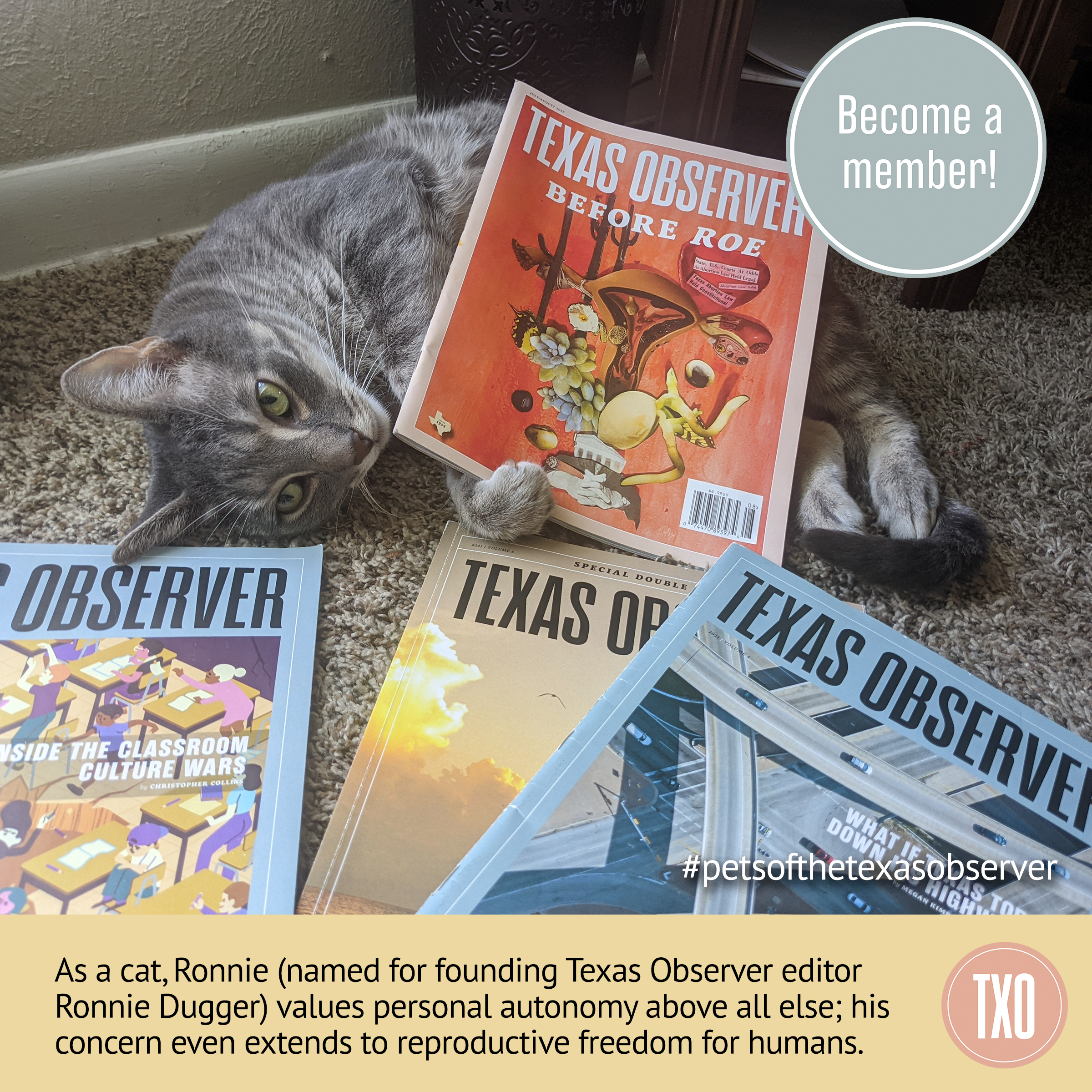 An ad with the text: When Texas is at its worst, the Texas Observer must be at its best. Help us reach out $100,000 goal by December 31. YOUR GIFT TODAY WILL BE MATCHED. A button reads: DONATE NOW