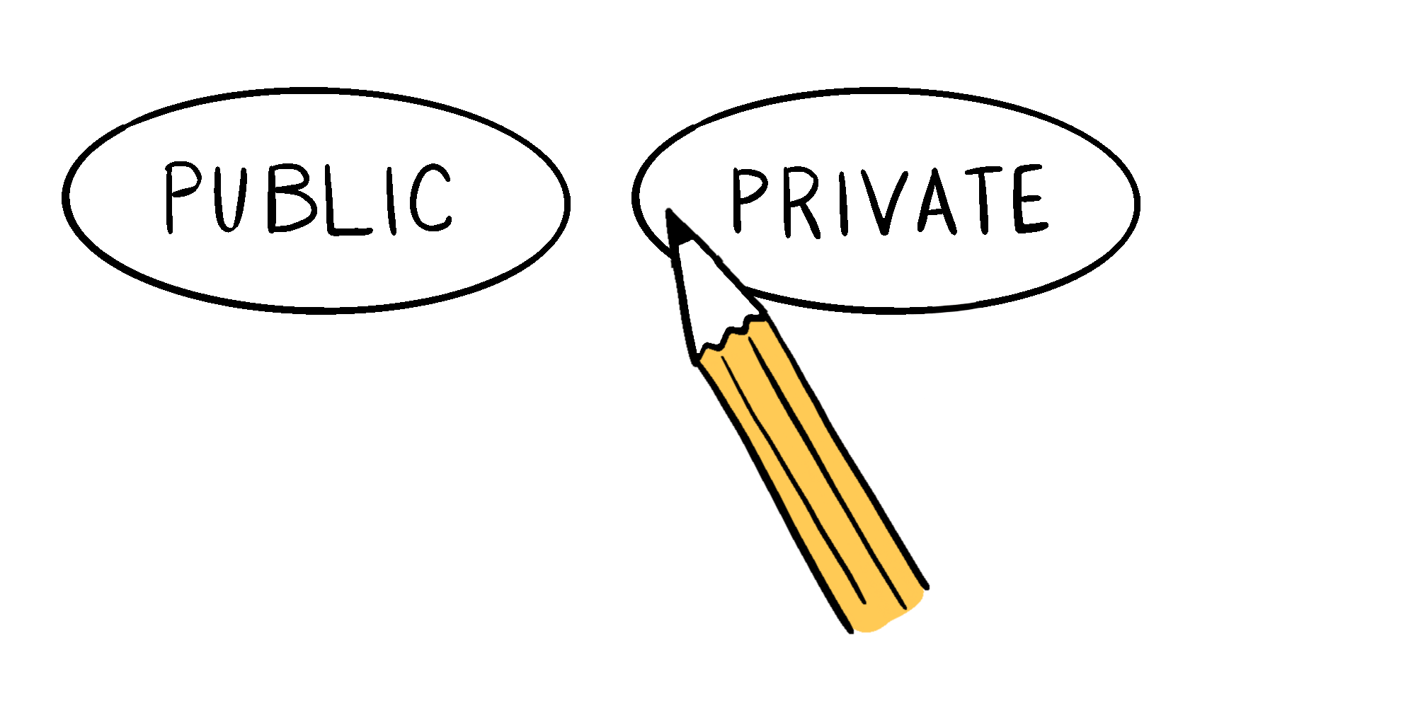 An animation of two standardized test bubbles, labeled "Public" and "Private" with a cartoon pencil coloring in the Private bubble.