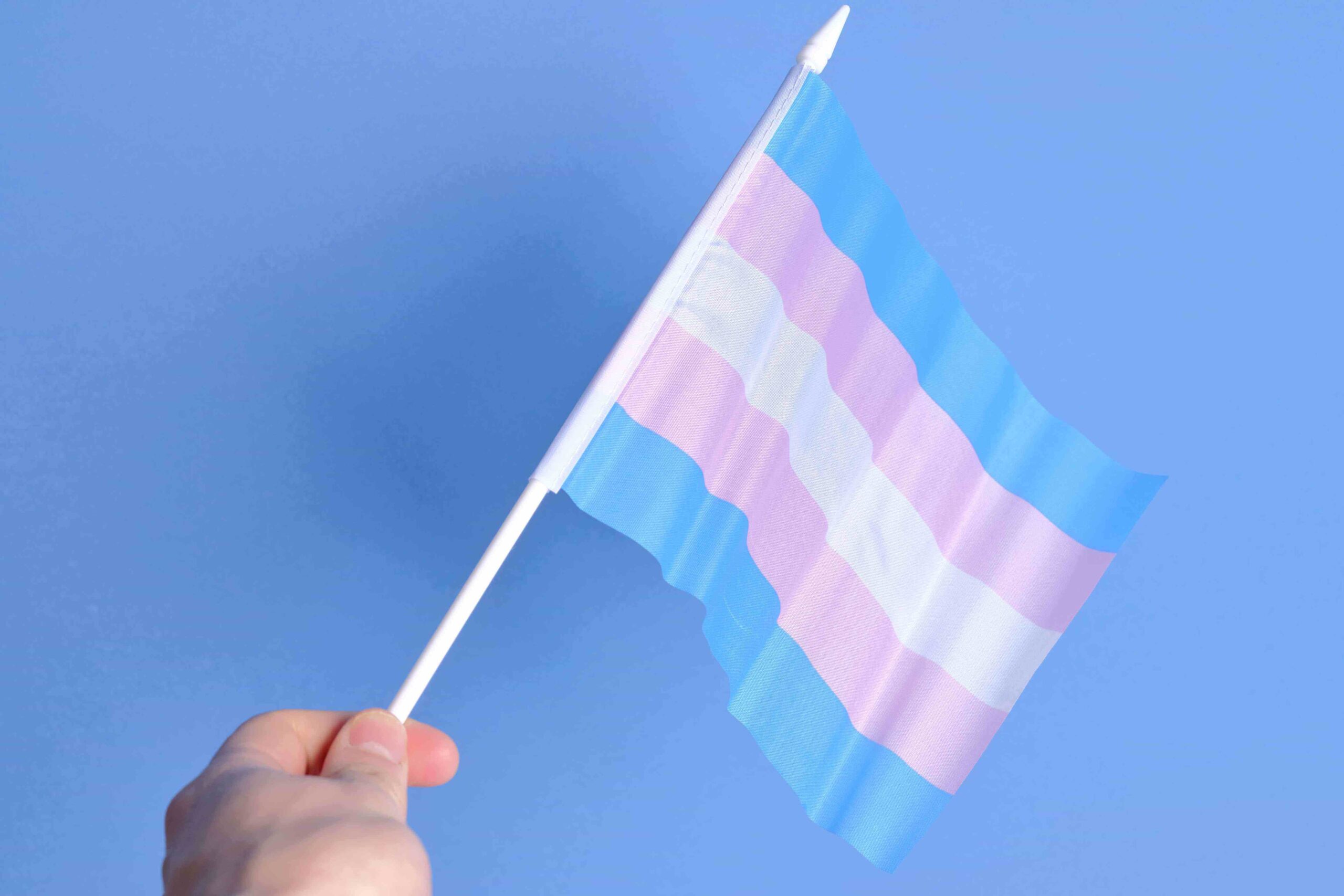 Transgender rights flag