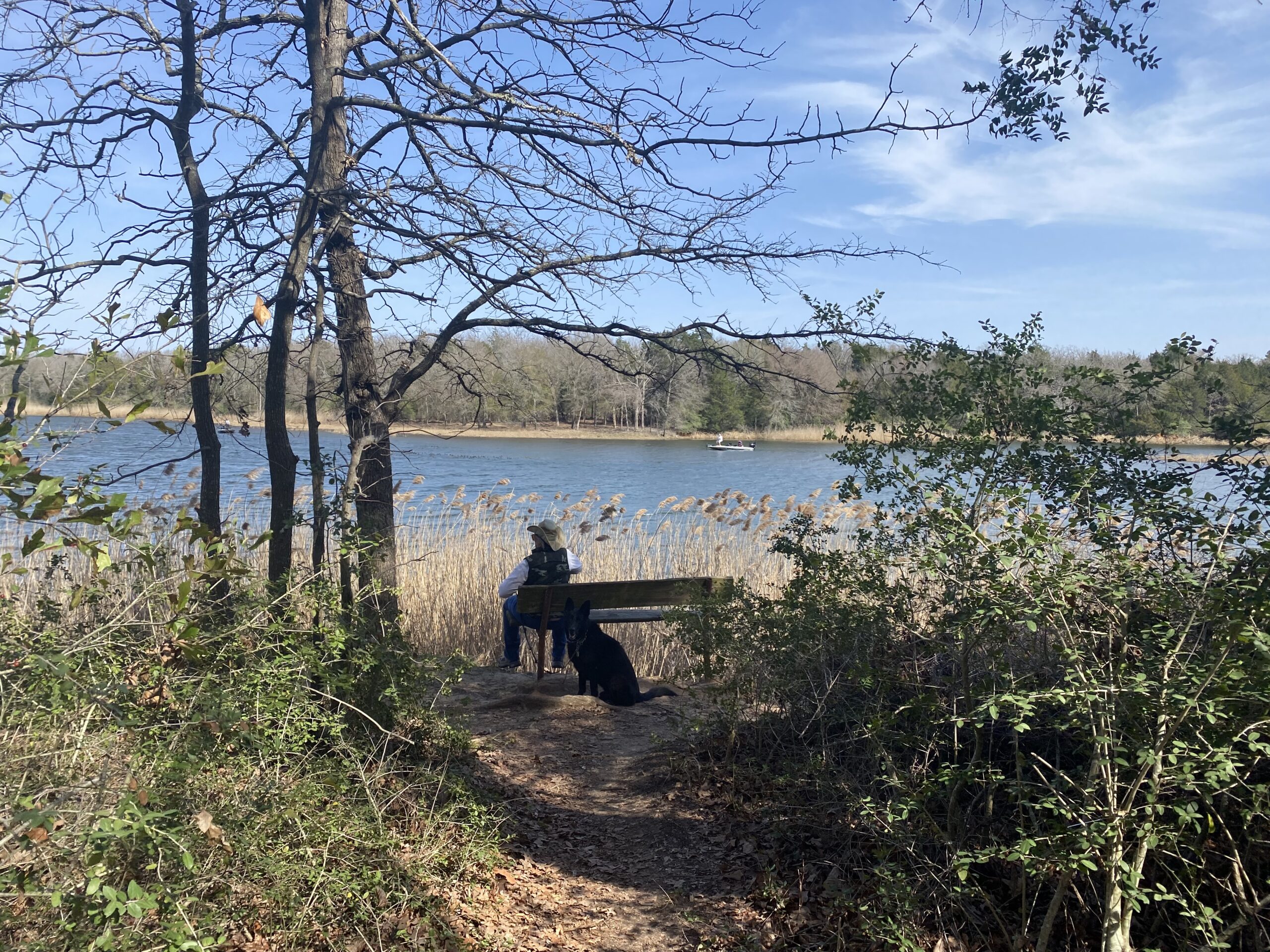 A lone park visitor—and a shaggy black dog—sit by Fairfield Lake at a park bench, with tall winter trees and brush around them. 