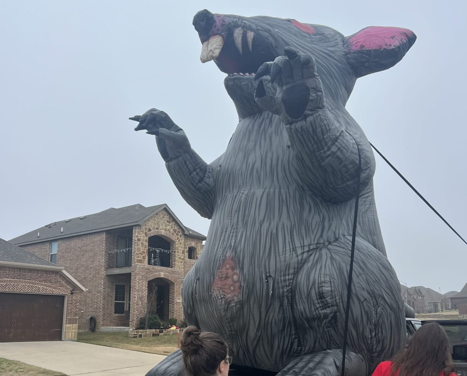 Two people inspect a giant inflatable rat strapped to a truck bed in front of an large house in a residential neighborhood.