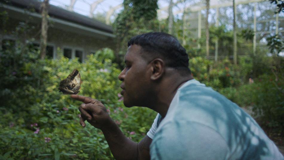 An image from the documentary “Caterpillar” showing David, the main character, observing butterfly that has landed on his finger