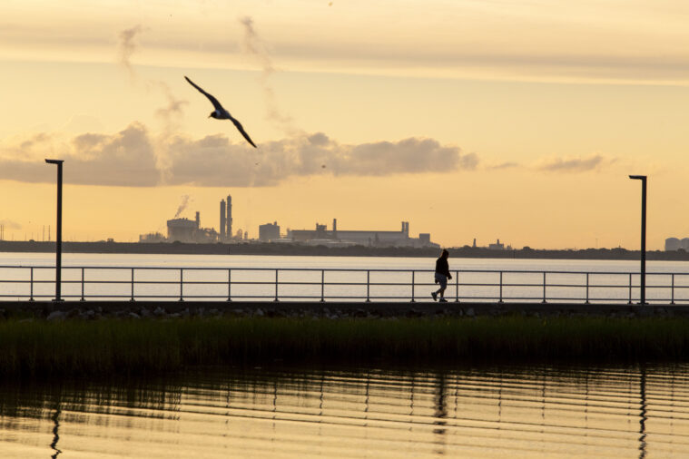 A seabird flies by a fenced jetty on Port Lavaca, with a oil terminal steaming in the background under a sunset sky.