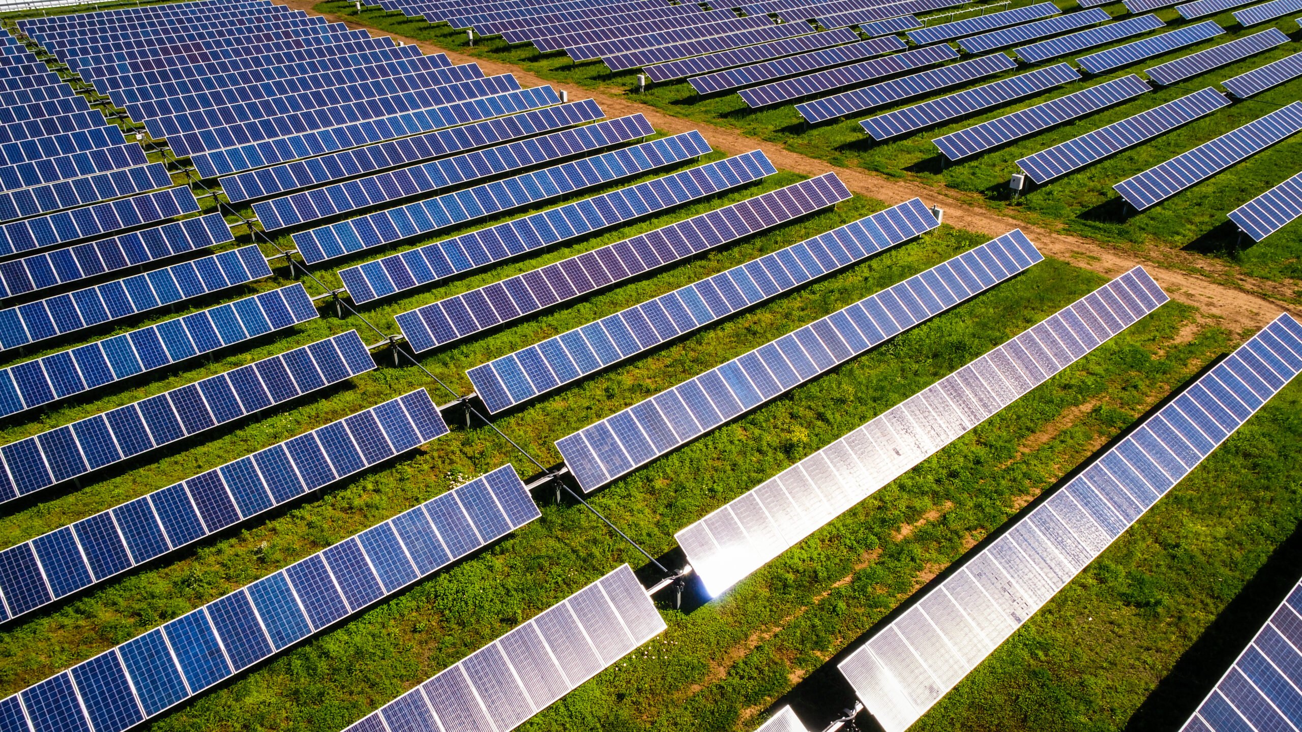 Seemingly endless rows of solar panels on a scrubby grass ground.