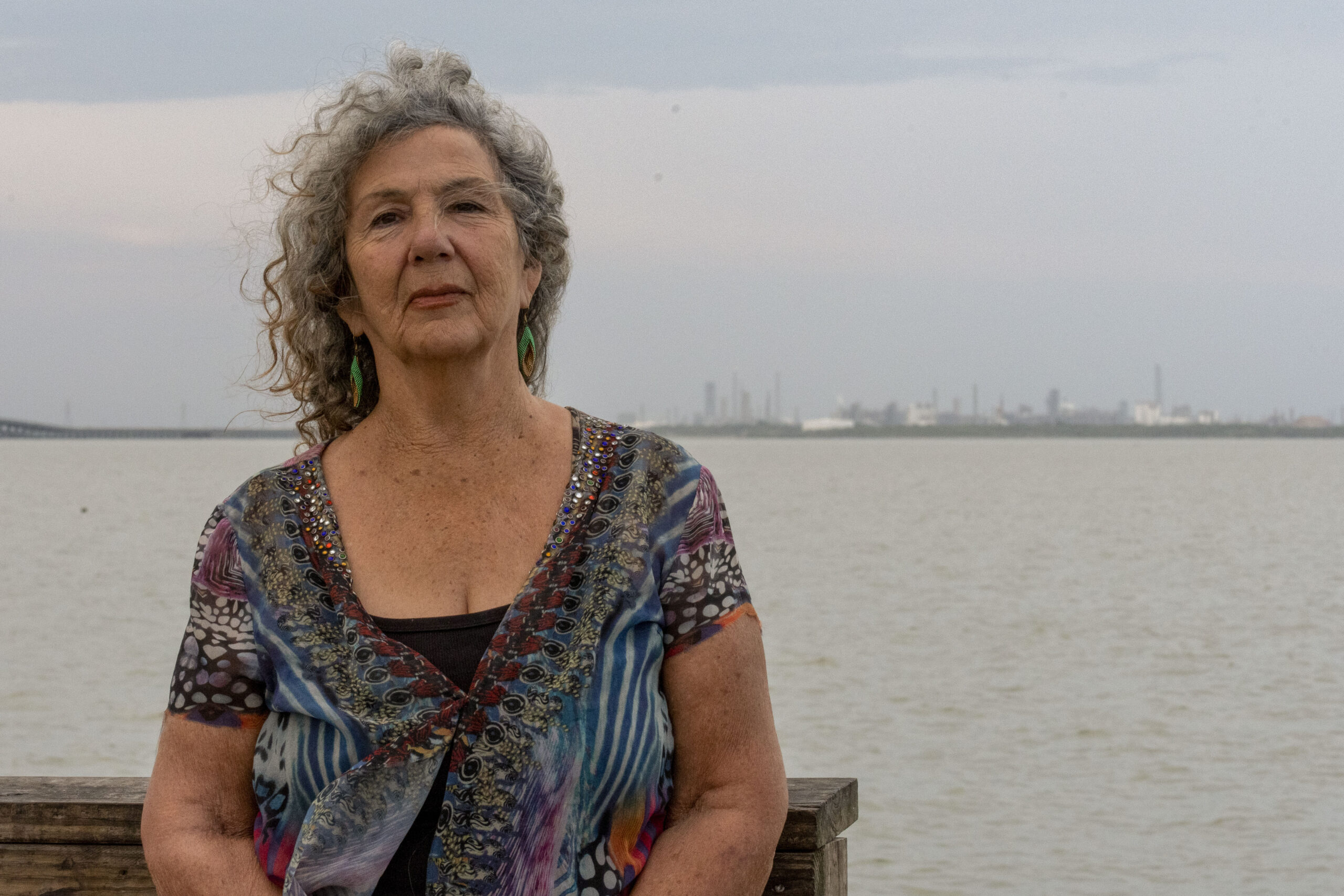 Diane Wilson, a gray-haired white woman in a blue stripey dress over a black top, stands with 