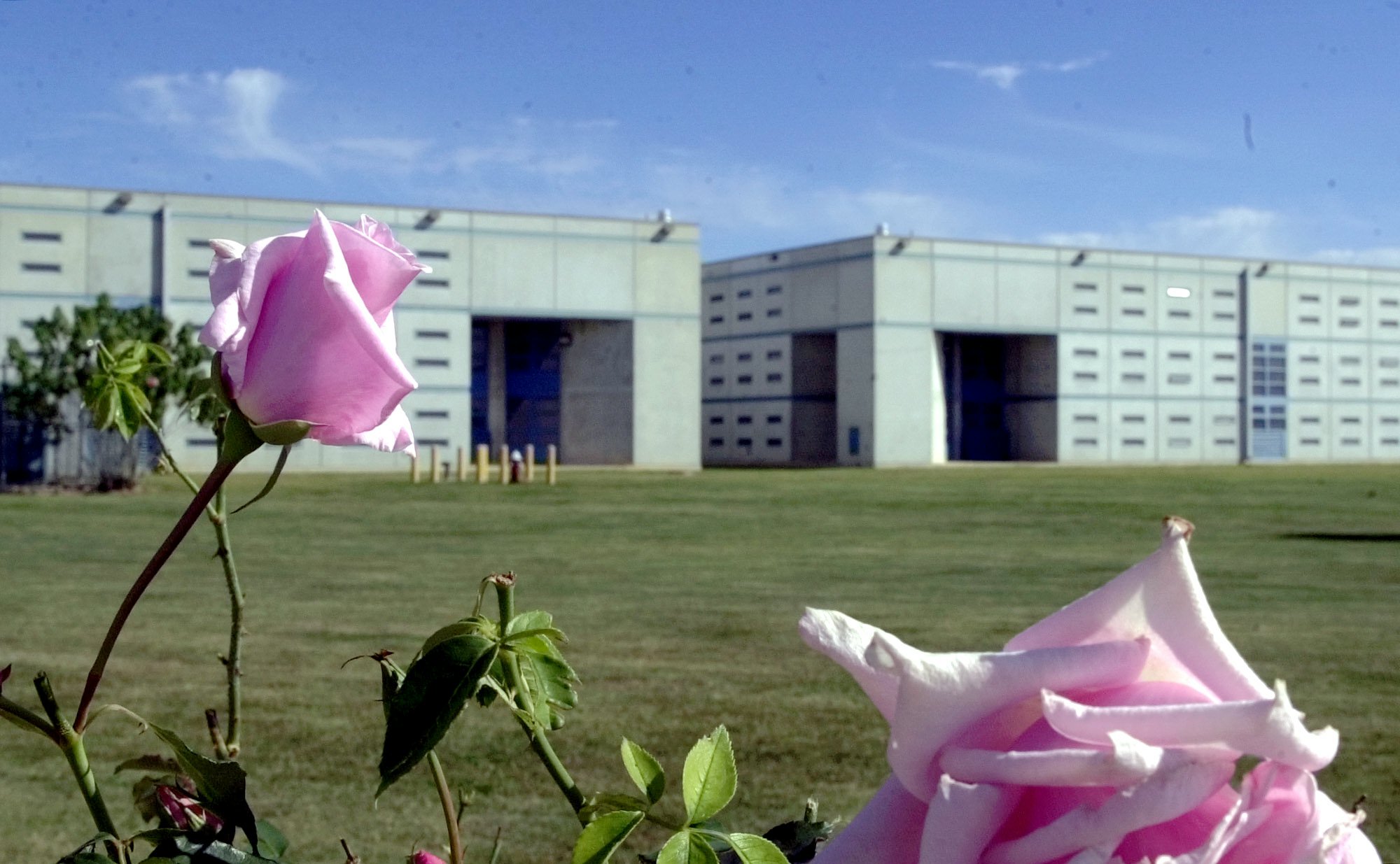 Roses line the walkway at the entrance to the Texas prison system's Polunsky Unit and death row near Livingston, Texas.