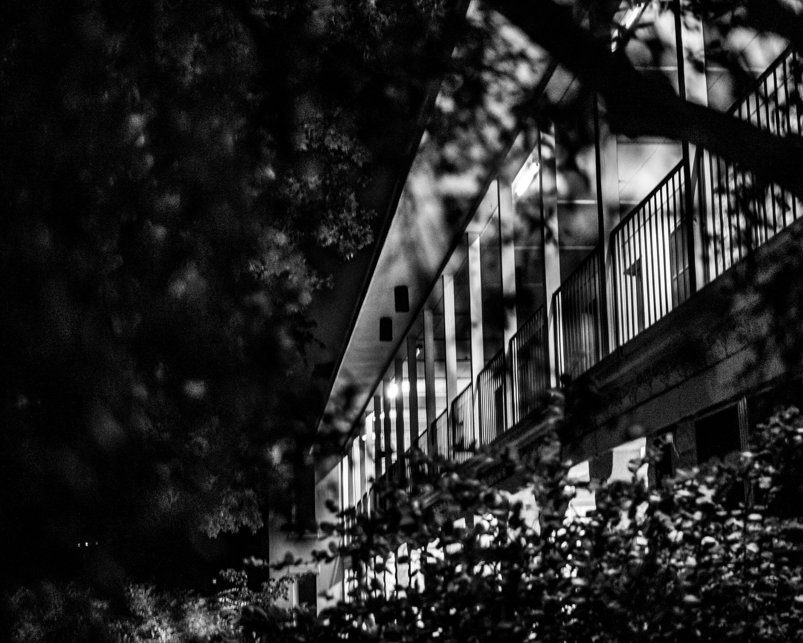 An exterior balcony at the former Confederate Women's Home in Austin, eerily lit and seen through foliage in this black and white photo.
