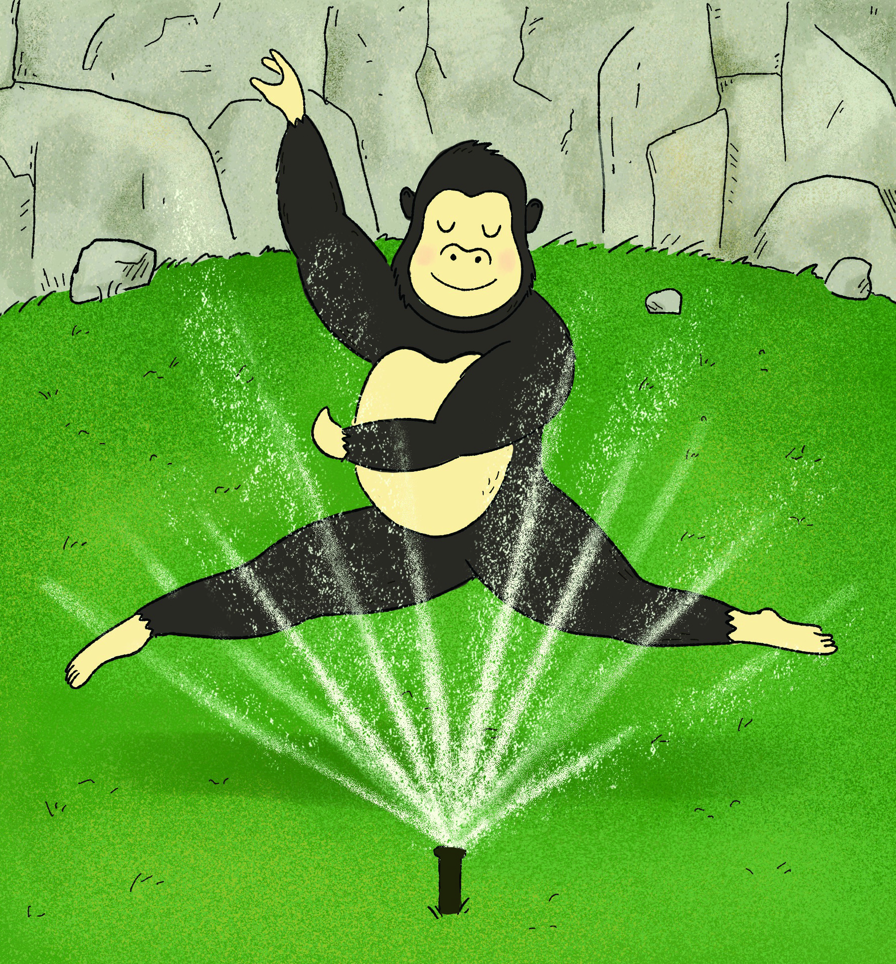 In a cartoon illustration, a large gorilla leaps, with ballerina-like grace. through a sprinkler. Its eyes are closed with a blissful expression.