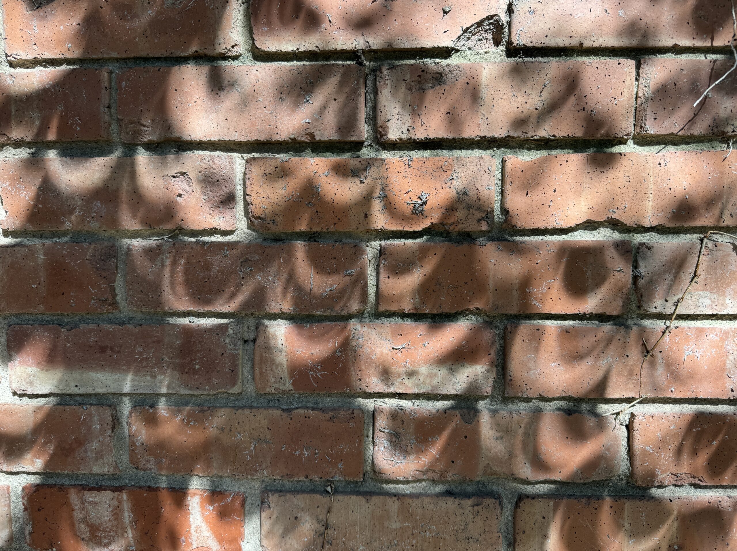 A random scattering of crescent shapes from the leaves reflecting on a gray painted brick wall, with the leaves acting like pinhole cameras during the eclipse.