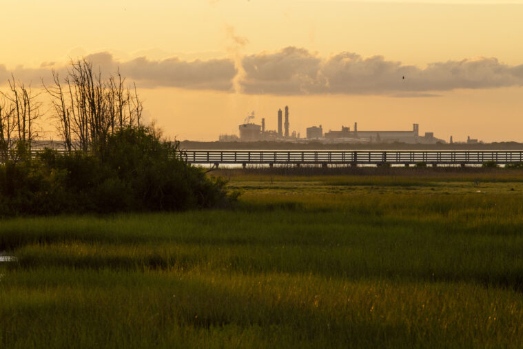 The Seahawk oil terminal interrupts the skyline on a sunset evening at the boardwalk, which has a large clump of wild grasses growing along the side. 