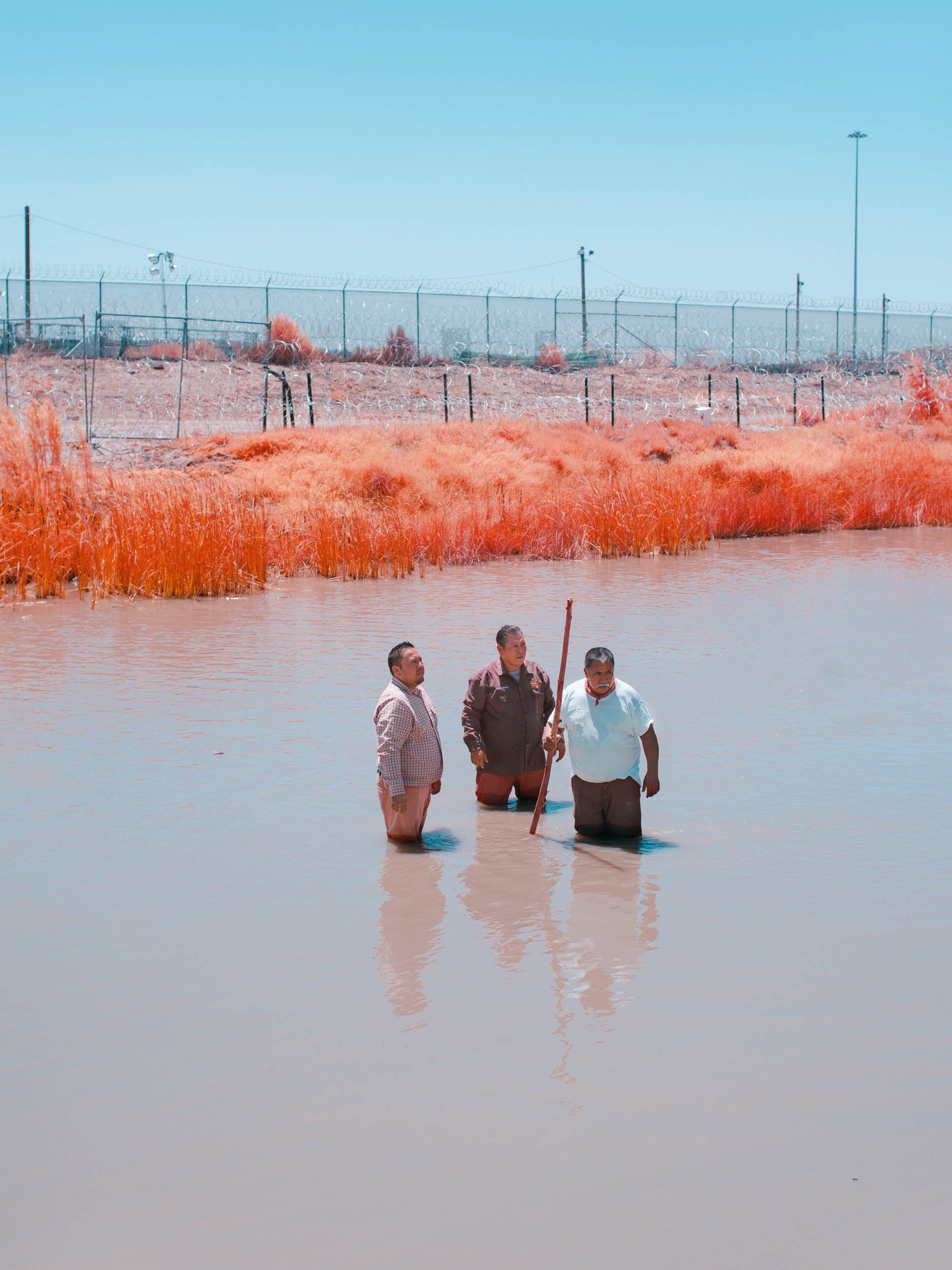 The River and the Fever Dream